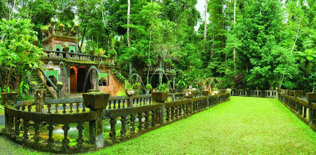 Mena Creek Flower House Екстериор снимка